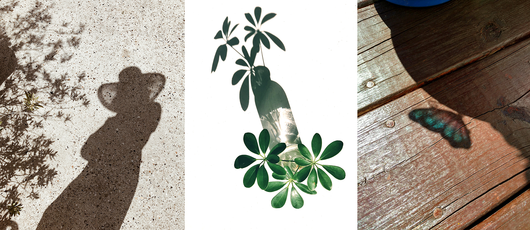 Comment se déroule une séance de réflexologie crânienne  © Véronique Lecerf